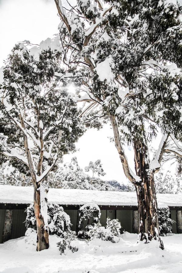 Ski Rider Hotel Perisher Valley Exterior foto